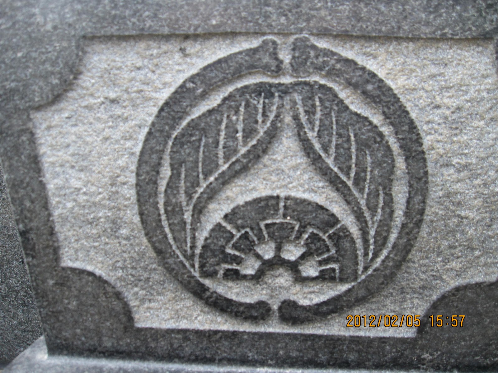 カモン^ハナノキ 太田氏の系譜と家紋